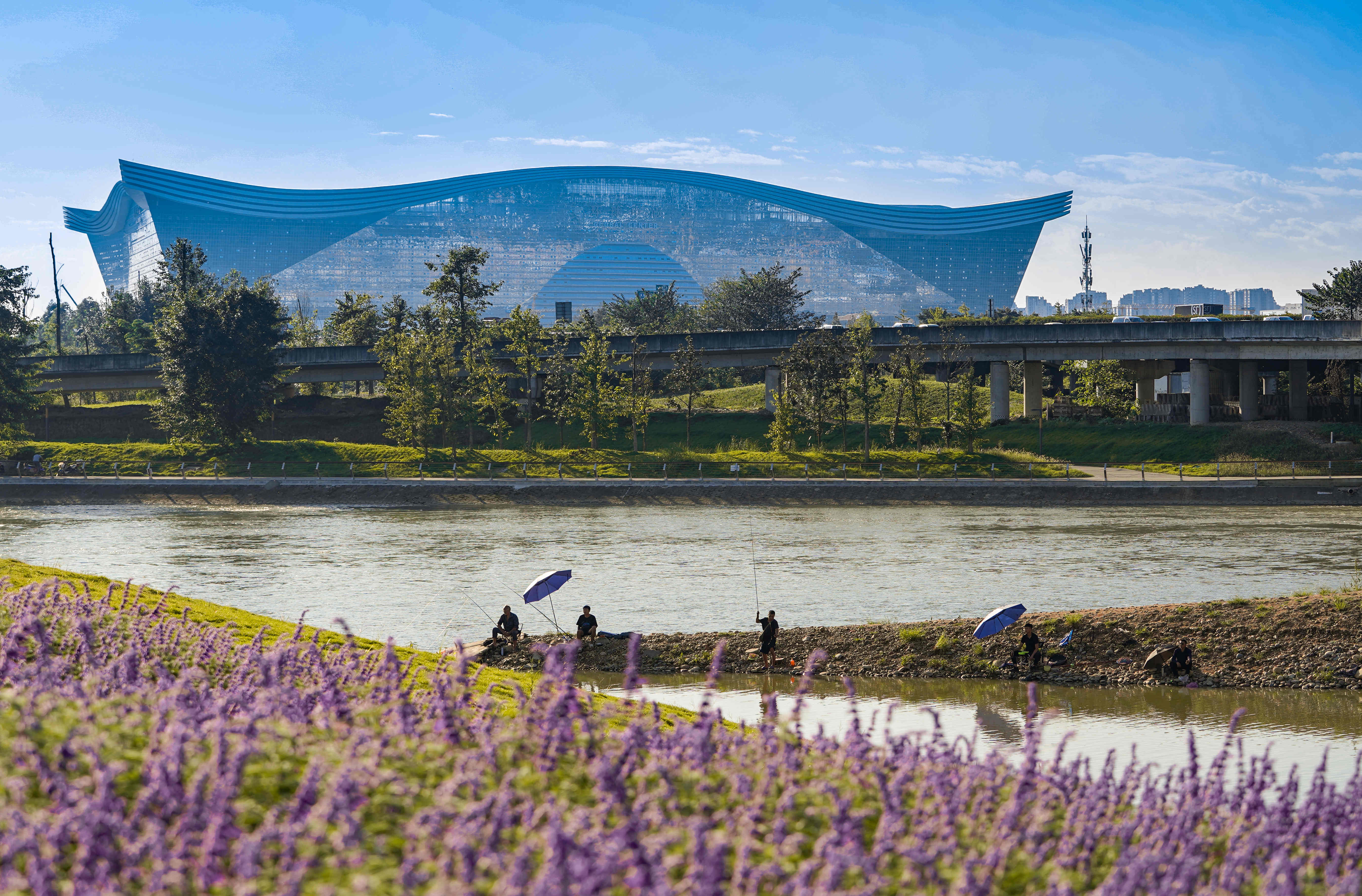 守护“地球之肾”  公园城市做了什么？